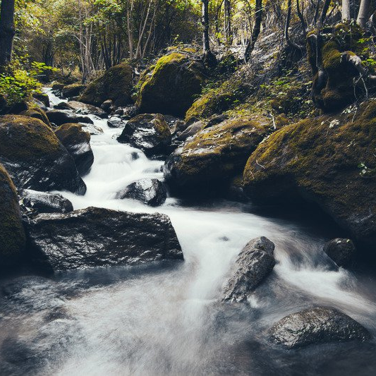 Everything you need to know about alkaline water