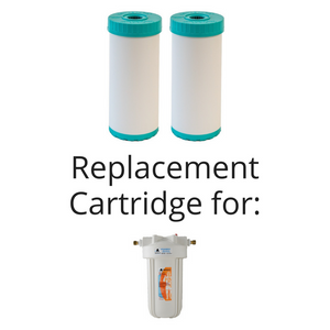 Fluoride & Heavy Metal Reduction Big Blue Replacement Cartridge