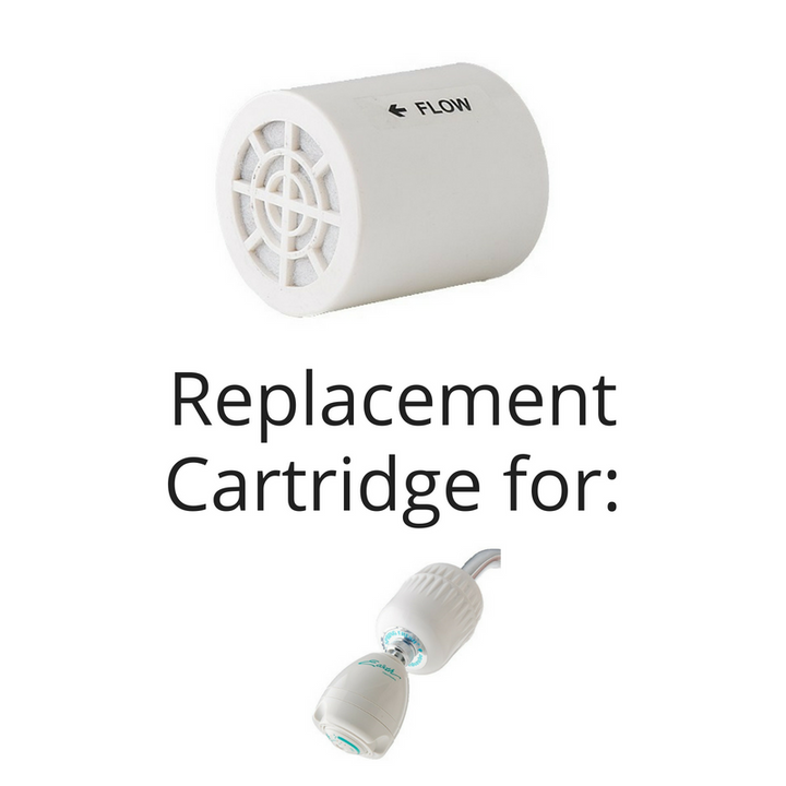 SPRING FRESH Shower Filter Replacements